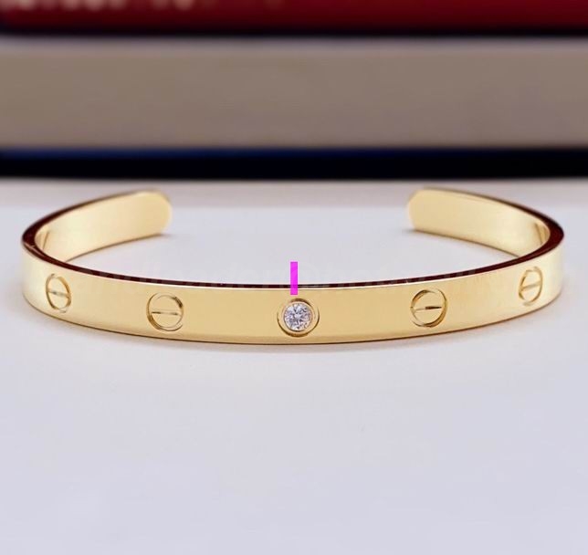 Cartier Bangles 118